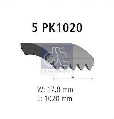 Spare parts 31501 - dt, cinghia