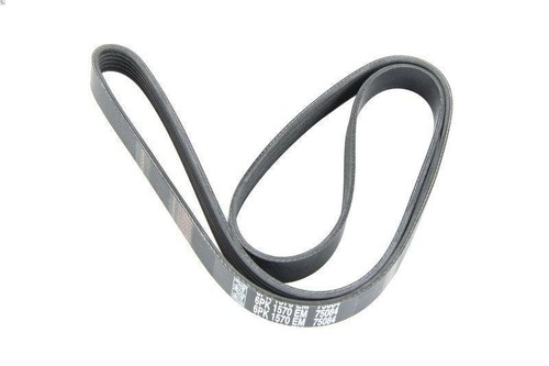 Cinghia poly spare - cinghia, parts