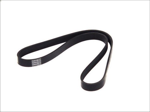Cinghia poly spare - poly-v, dt
